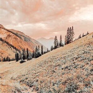 𝕄𝕖𝕖𝕥 𝕄𝕖….✿♥︎♡✿